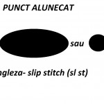 Simboluri diagrame – punctul alunecat