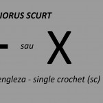 Simboluri diagrame – piciorusul scurt